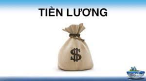 Dịch vụ lao động - tiền lương - bảo hiểm